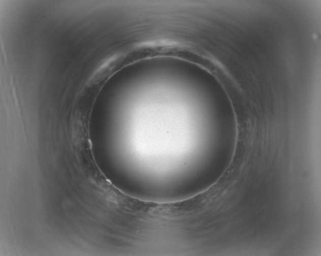 X0000083070967200702021251