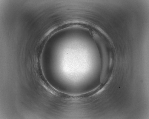 X0000083070969200702021250