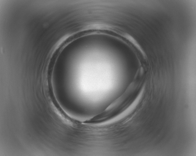 X0000083070972200702021250