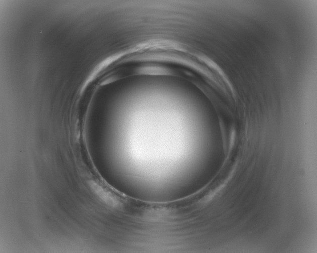 X0000083070973200702021250