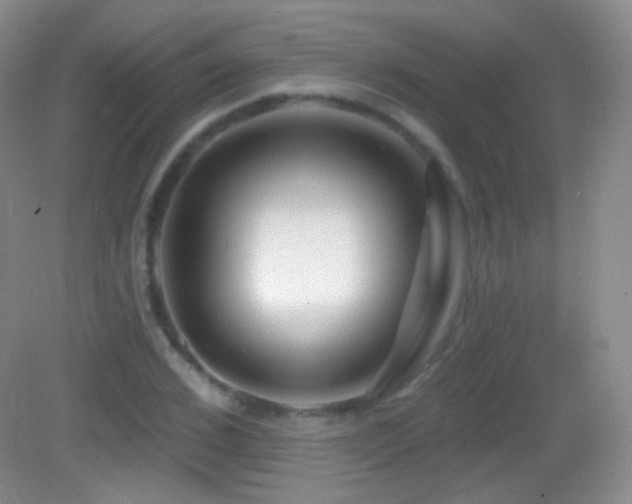 X0000083070976200702021250