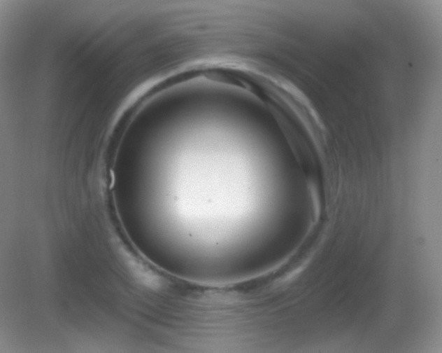 X0000083070981200702021250
