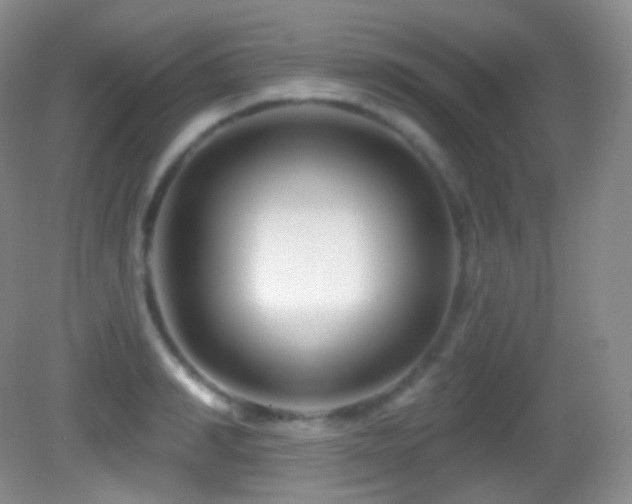 X0000083070990200702021250