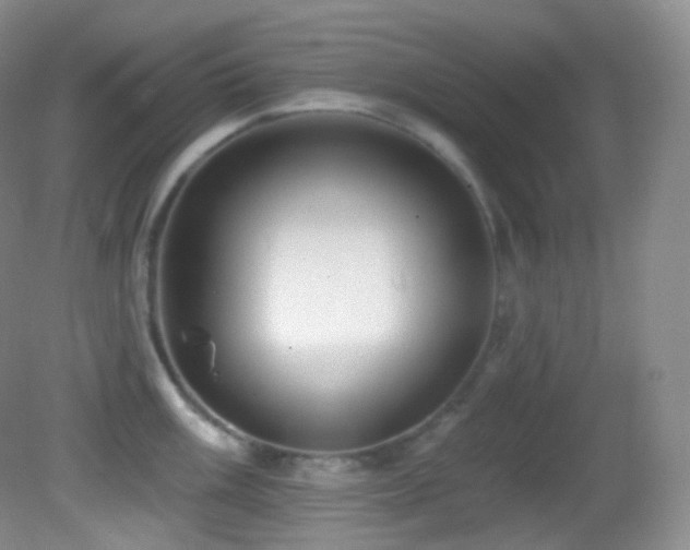 X0000083071003200702021250