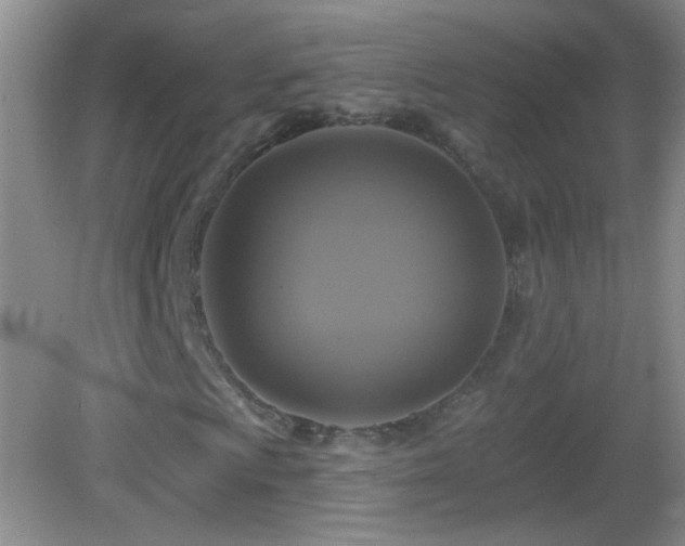 X0000083071009200702021249