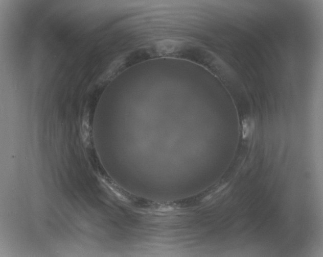 X0000083071011200702021249