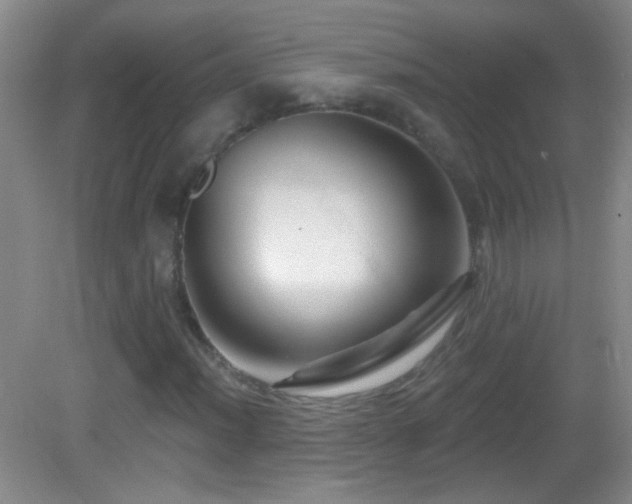 X0000083071012200702021249