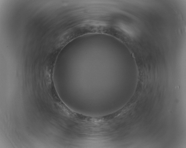 X0000083071013200702021249
