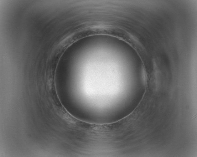 X0000083071015200702021249