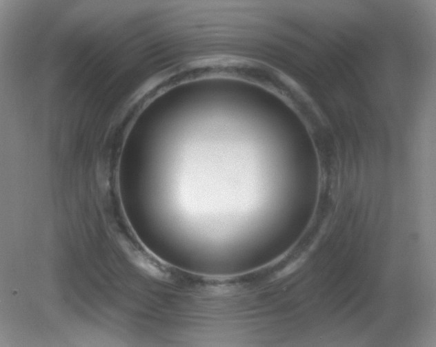 X0000083071017200702021249