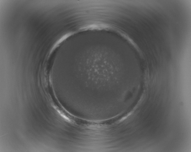 X0000083071018200702021249