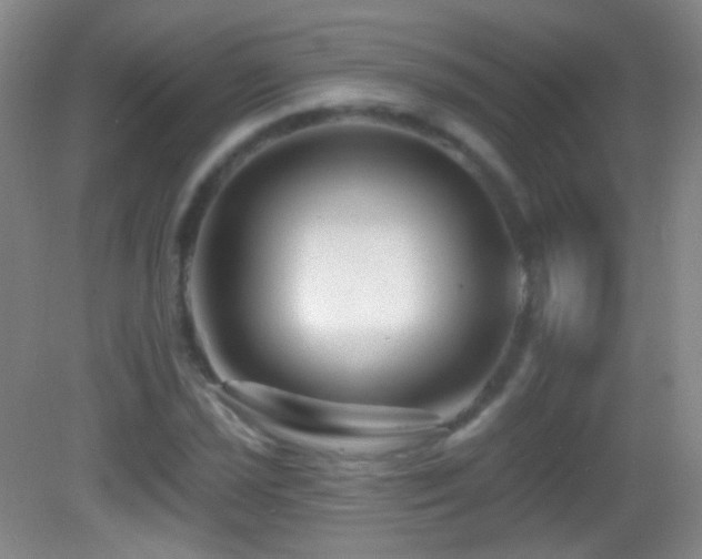 X0000083071021200702021249