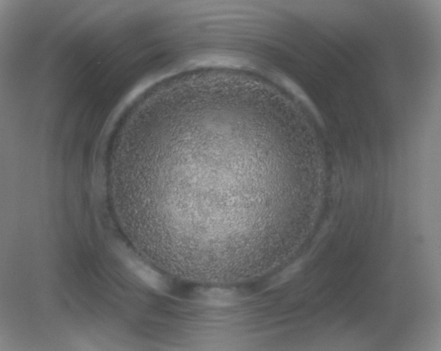 X0000083071027200702021249
