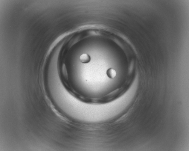 X0000083071030200702021249