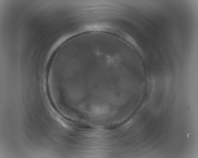 X0000083071035200702021249