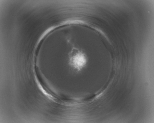 X0000083071038200702021249