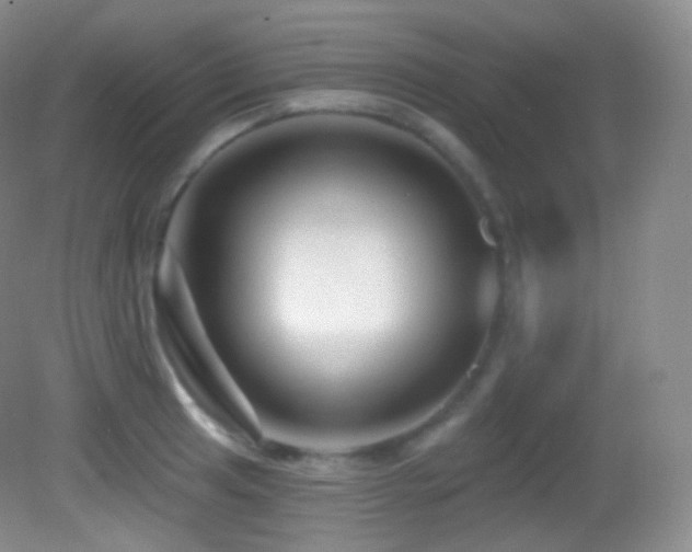 X0000083071041200702021250
