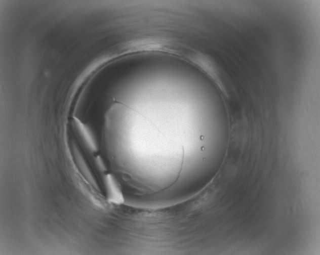 X0000083071051200702021250