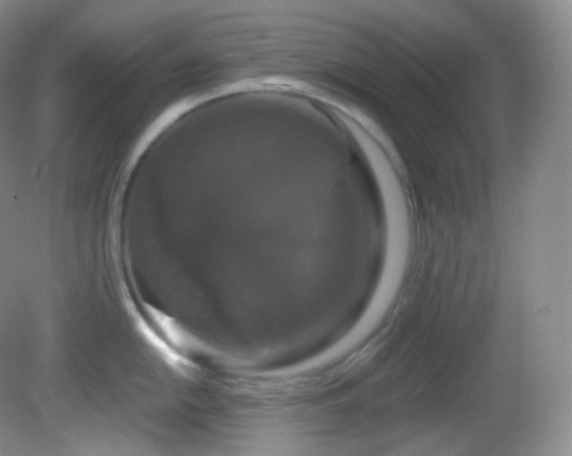 X0000083071054200702021250