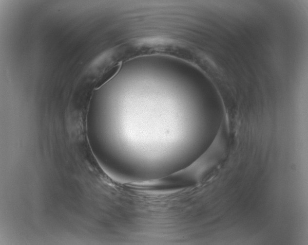 X0000083071062200702021249
