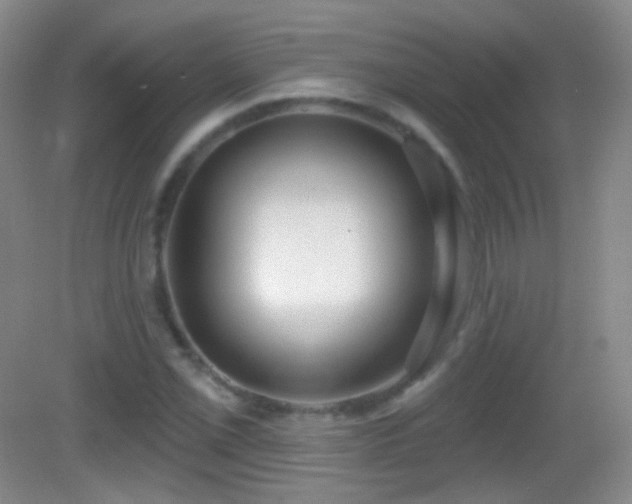 X0000083071069200702021249