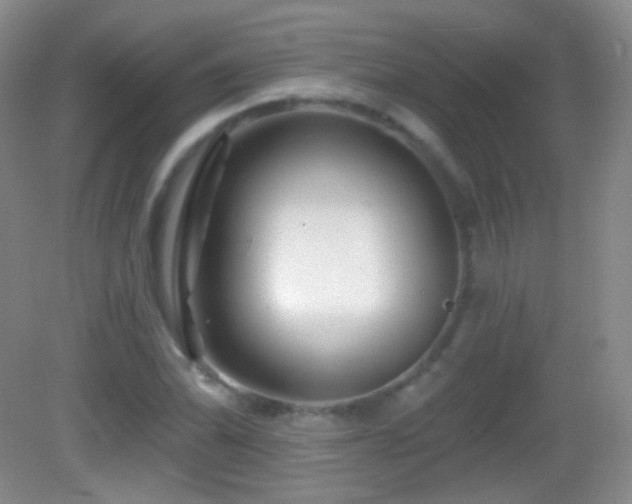 X0000083071070200702021249