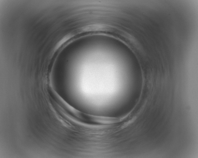X0000083071073200702021249