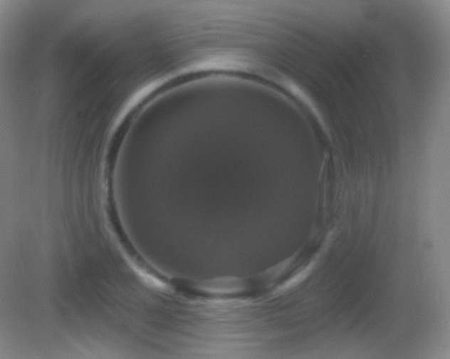 X0000083071077200702021249