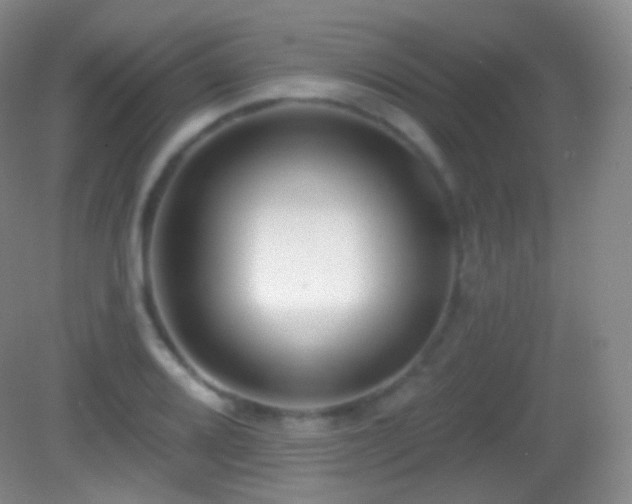 X0000083071080200702021249