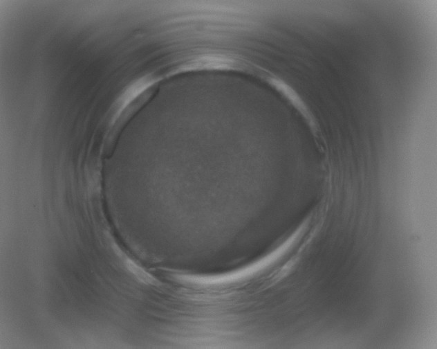 X0000083071081200702021249