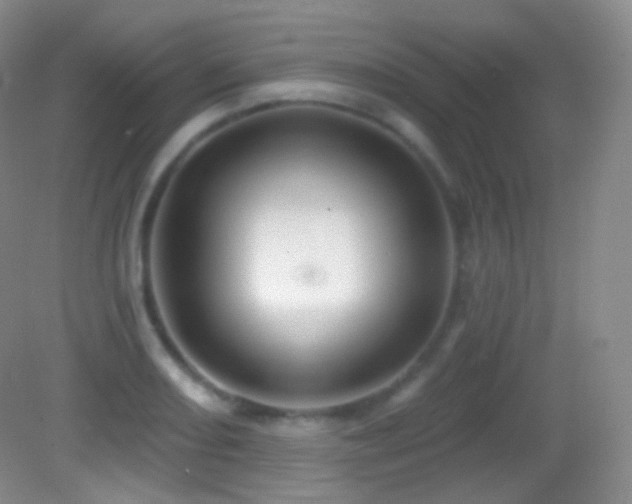 X0000083071082200702021249