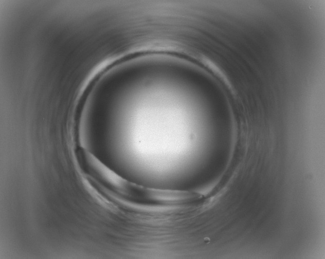 X0000083071085200702021249