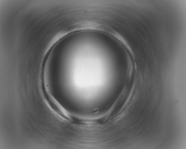 X0000083071093200702021248