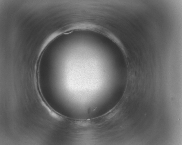 X0000083071103200702021248