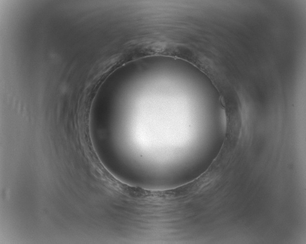 X0000083071105200702021247