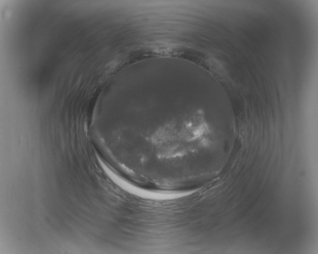 X0000083071106200702021247