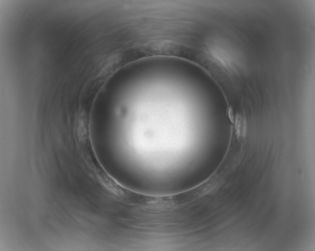 X0000083071107200702021247