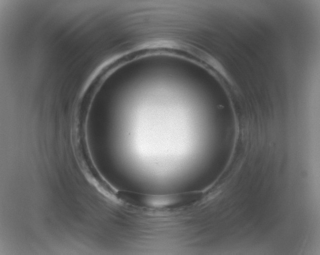 X0000083071116200702021248