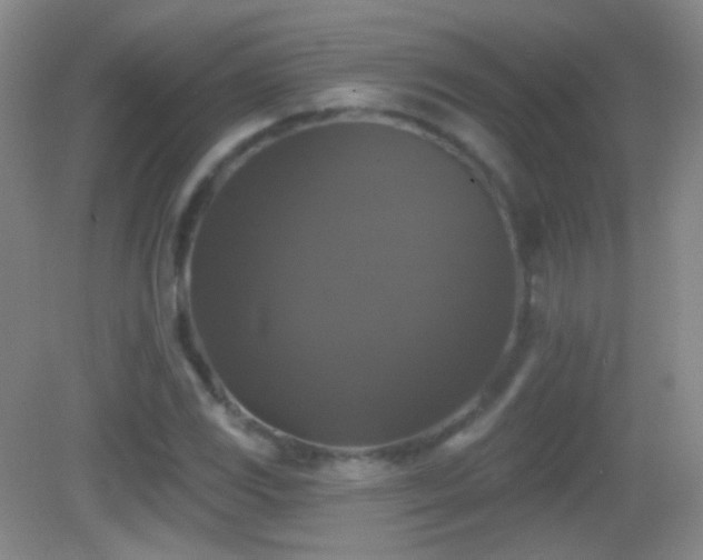 X0000083071117200702021248
