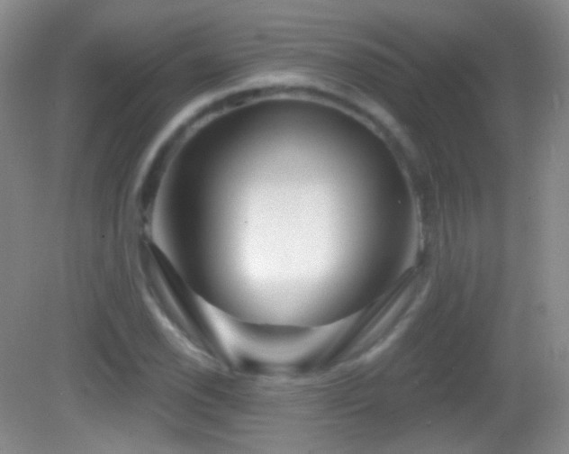 X0000083071118200702021248