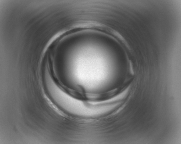 X0000083071122200702021248