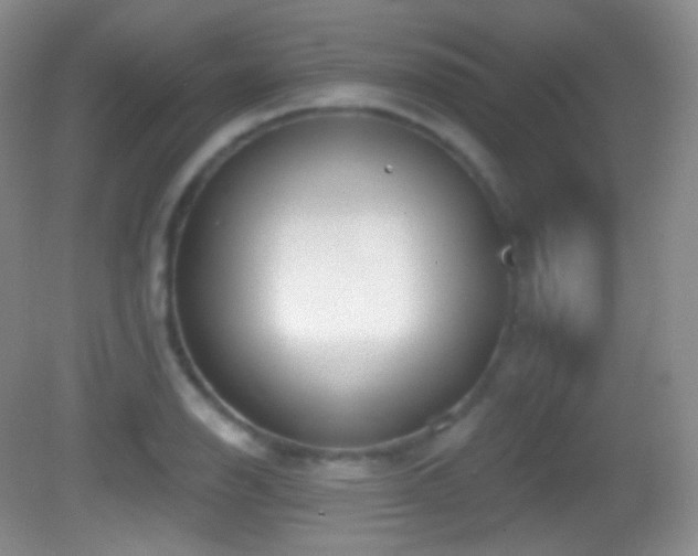 X0000083071126200702021248
