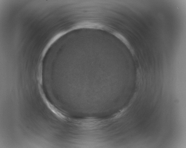 X0000083071128200702021248