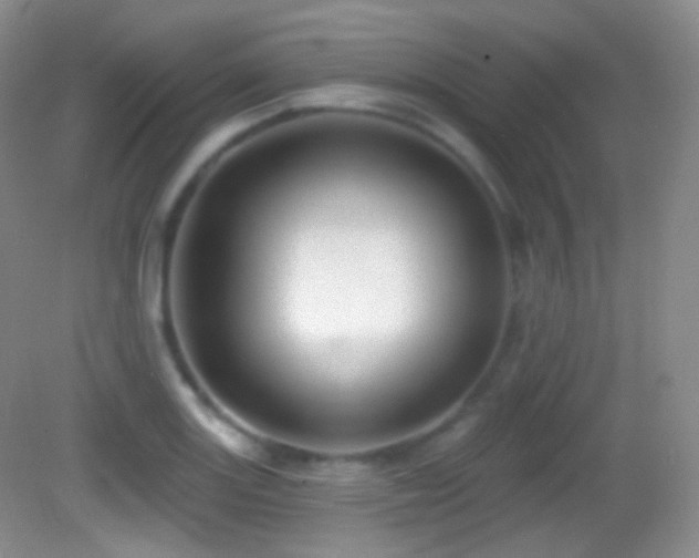X0000083071131200702021248