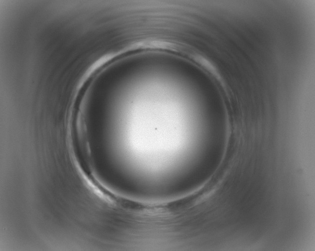 X0000083071133200702021248