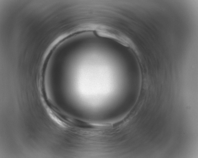 X0000083071136200702021248