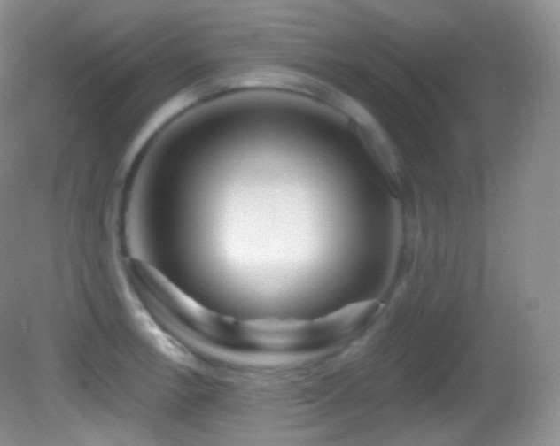 X0000083071138200702021248