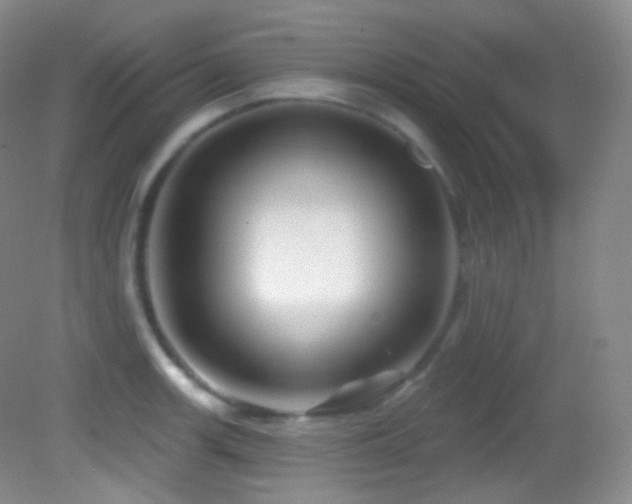 X0000083071139200702021248