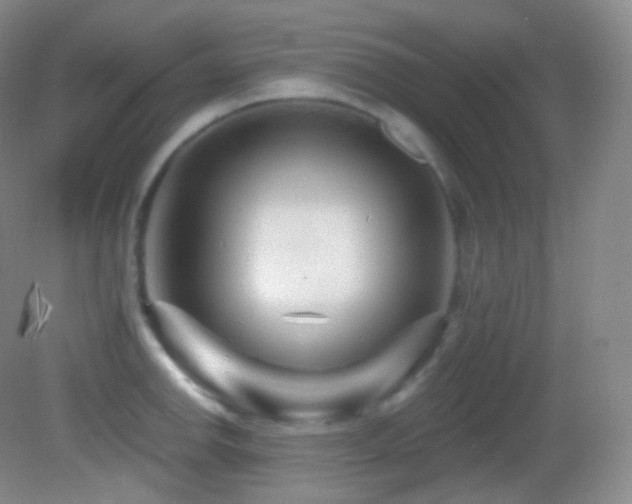 X0000083071142200702021248