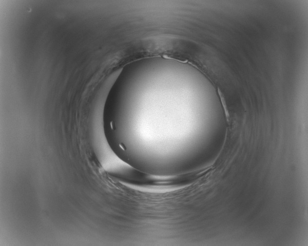 X0000083071153200702021247